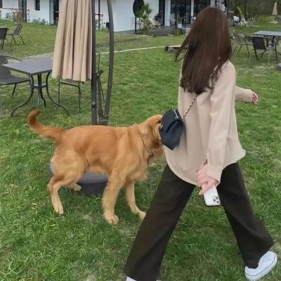 比基尼特工 在线观看